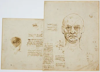 Studies of proportions of face and eye (with notes), c. 1489-90